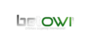 logo de l'opérateur BetOWI Casino