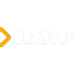 logo de l'opérateur BetSteve Casino