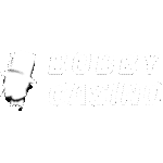 logo de l'opérateur Bobby Casino