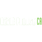 logo de l'opérateur Dream Palace Casino