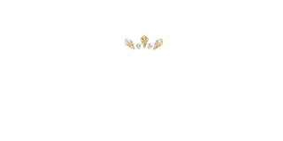logo de l'opérateur Exclusive Casino