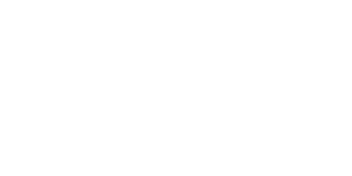 logo de l'opérateur NYspins Casino