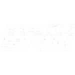logo de l'opérateur Need For Spin Casino