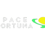 logo de l'opérateur SpaceFortuna Casino