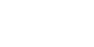 logo de l'opérateur Timberazo Casino