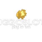 logo de l'opérateur Viggoslots Casino