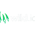 logo de l'opérateur Wild.io Casino