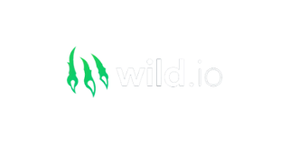 logo de l'opérateur Wild.io Casino