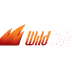 logo de l'opérateur WildSlots Casino
